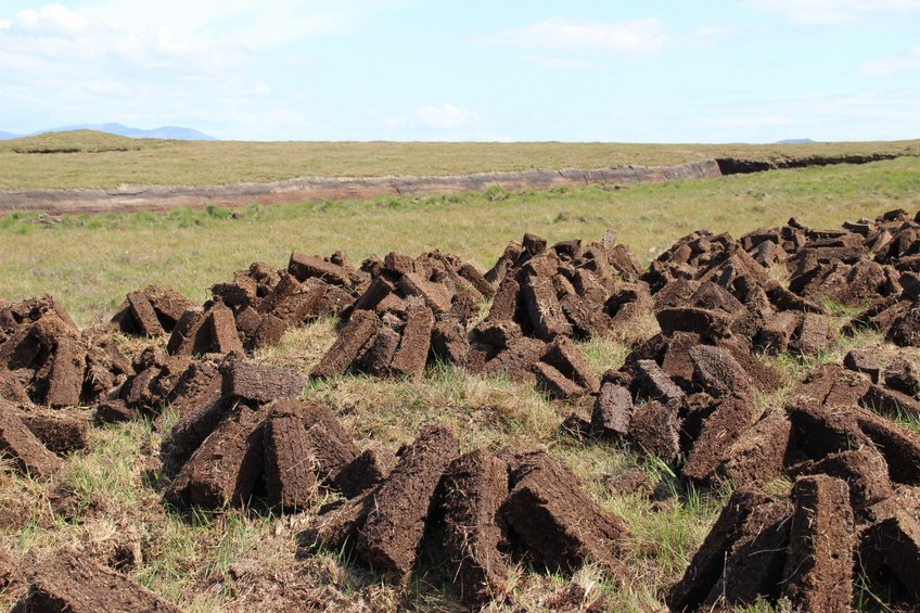 Drying peat