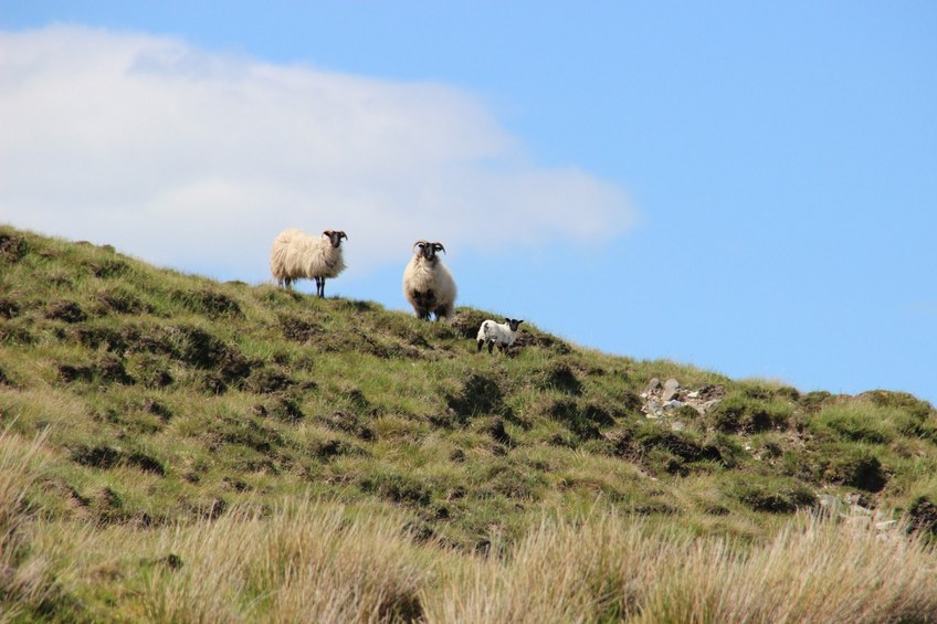 The audience, watching us from the North