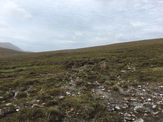 #1: The Confluence from 15 m distance