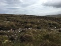 #2: View to the North