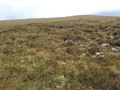 #5: View to the West