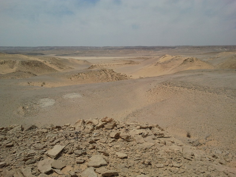 View of the desert  (to the west)