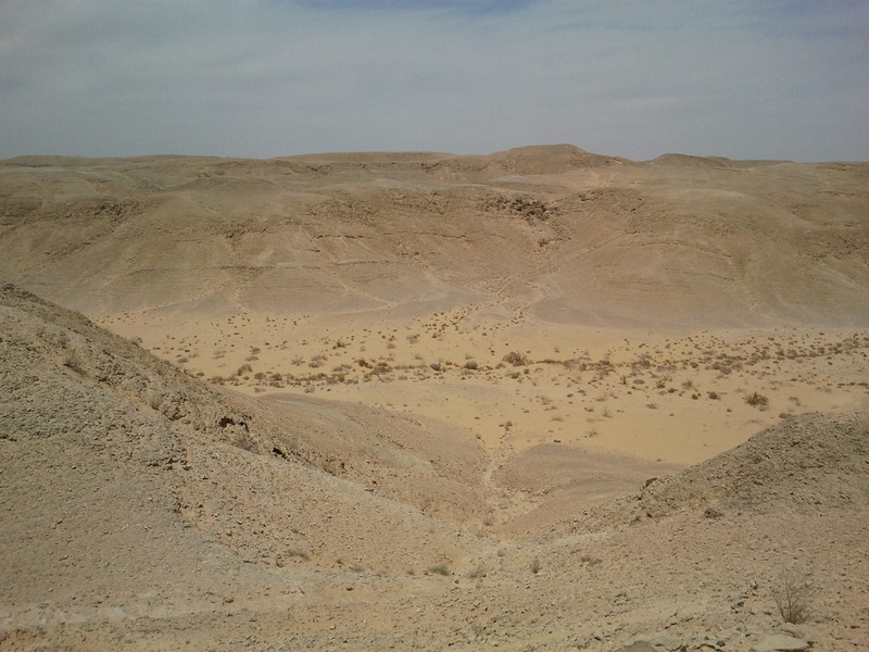 View of the desert  (to the south)