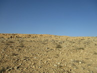 #2: North view
