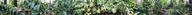 #7: Panorama clockwise from South at 12N76E
