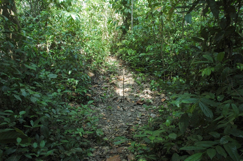 Overview of the confluence (the stick marks the spot), from about 10 meters away