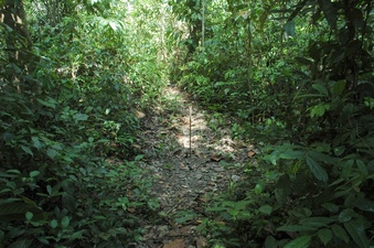 #1: Overview of the confluence (the stick marks the spot), from about 10 meters away