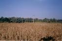 #4: Looking West from 13N77E