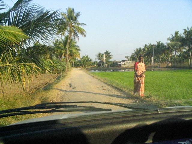 Mud track connecting main (Katpadi-Gudiyatham) road to the confluence.