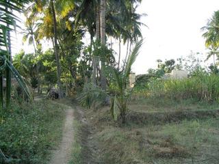 #1: Footpath to the confluence: 13N79E is behind the building