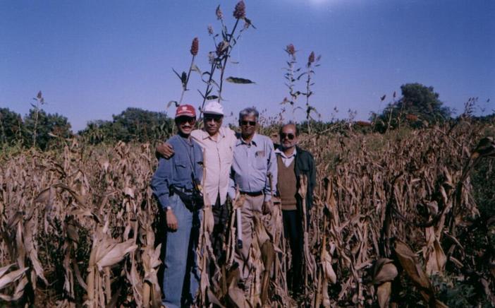 Lakshman, Jagan, Nath & Mohan near 14N76E