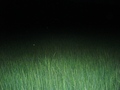 #3: To the east of CP