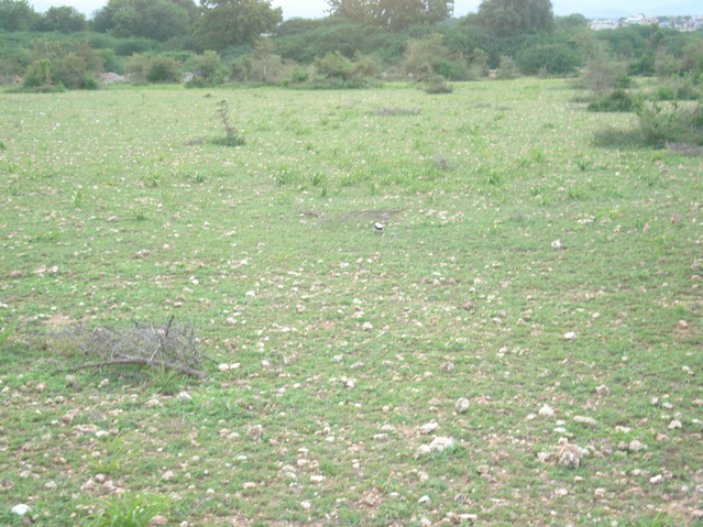 The confluence point