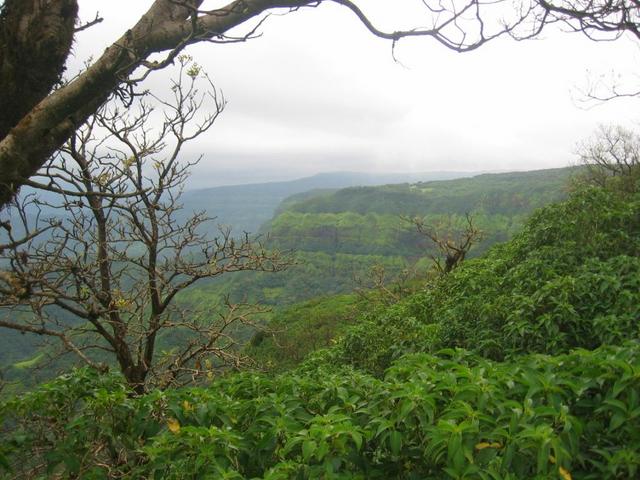 View towards the Confluence at a distance of 325m