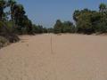 #2: A stick put at the confluence point - photo taken from East side of it - Wsst view