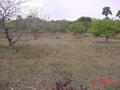 #2: East side to 17N 82E