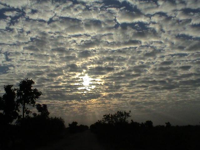 On the way