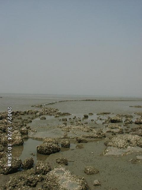 Retreating Sea Tide (Photo in the direction of the point)