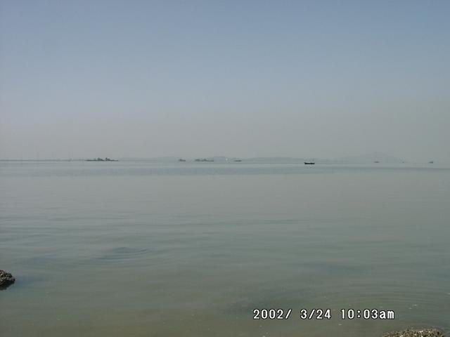 Sea Gulf - Trombay Shore - Fishing Boats