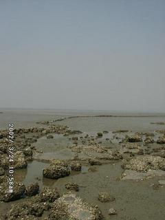 #1: Retreating Sea Tide (Photo in the direction of the point)