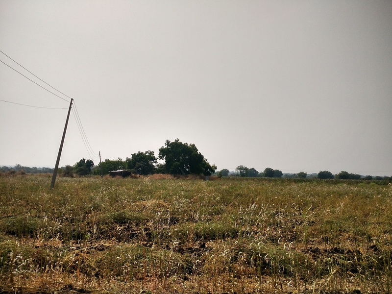 Pic of confluence facing South direction