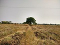 #4: Pic of confluence facing West direction