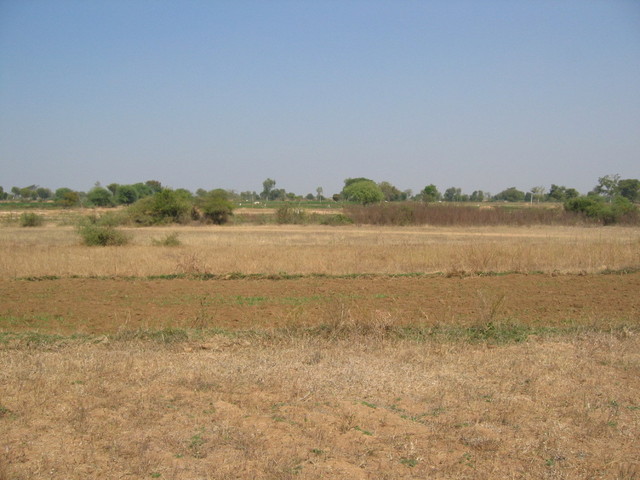 North View