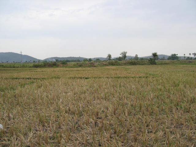 Looking South From CP