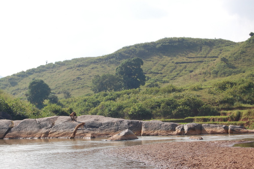 View  of  the West of the Confluence Point 