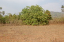 #3: View of the West of the Confluence Point 