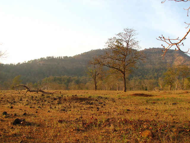 The view from the confluence