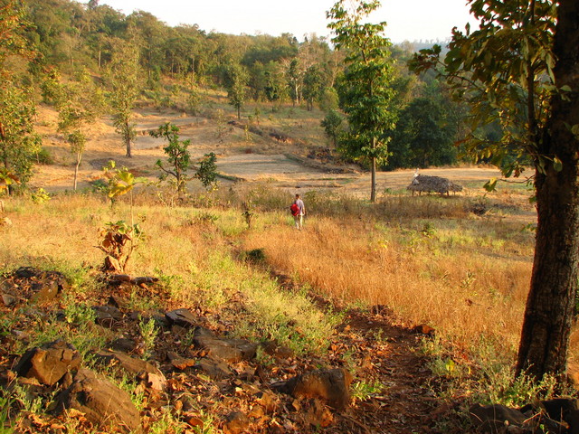 walking in to a valley of dormant rice patties on the way back