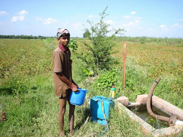 Vaibhav in his soya bean farm at 20N74E