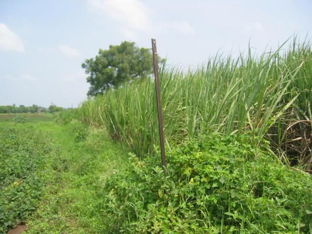 The Confluence - View to the North