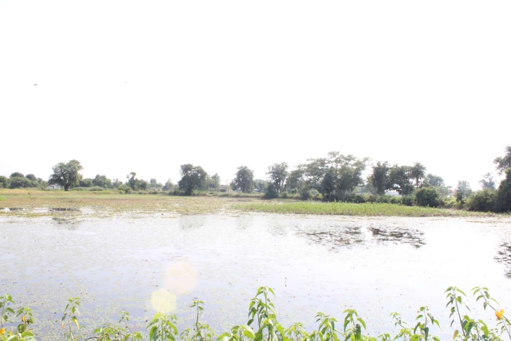 Facing South - Confluence point and the pond