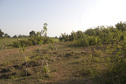 #3: View  of  the West of the Confluence Point 