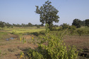 #4: Northern view of the Confluence Point 