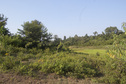 #5: Southern View from the Confluence Point