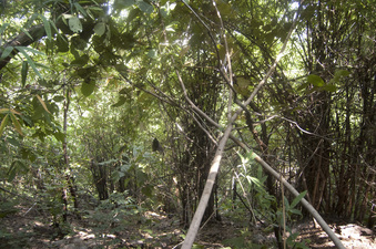 #1: General    view  of  the   Confluence  Point