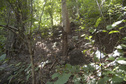 #3: View  of  the West of the Confluence Point 