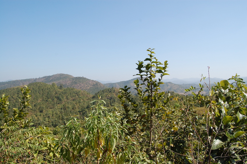 Eastern view  from the Confluence Point