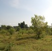 #3: West view  from  the Confluence Point