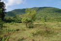 #4: North  view from the Confluence Point