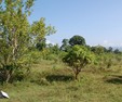 #5: South view from the Confluence Point