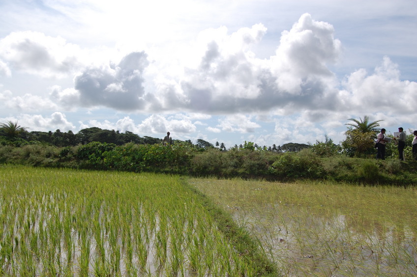 South view from the Confluence Point