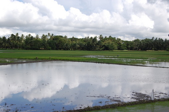 #1: View  of  the Confluence Point