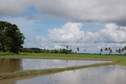 #3: West view  from  the Confluence Point