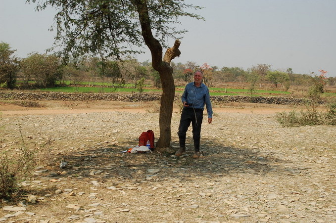 The point is almost in the shade of this tree