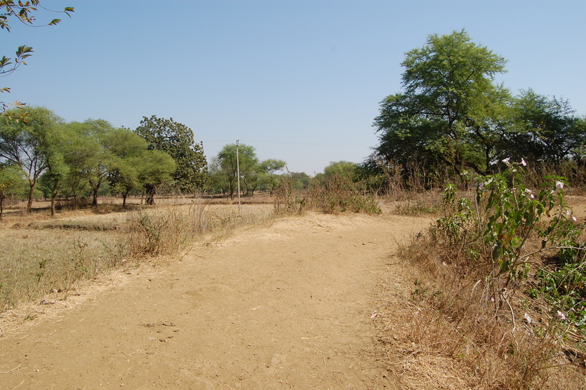 Eastern view  from the Confluence Point