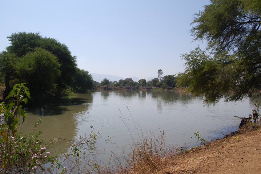 Southern View from the Confluence Point